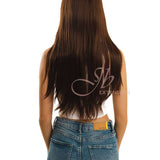 JBEXTENSION 26 Inches Straight Brown Frontlace Wig GIUSY