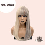 JBEXTENSION 20 Inches Straight White And Grey Colour Fashion Women Wig Salt And Pepeer ANTONIA（Halloween)